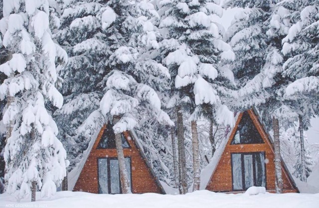 Cabin in the forest, near to ski lift, provide breakfast and dinner