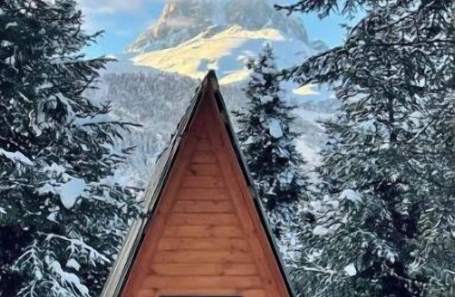 Cabin in the forest, near to ski lift, provide breakfast and dinner
