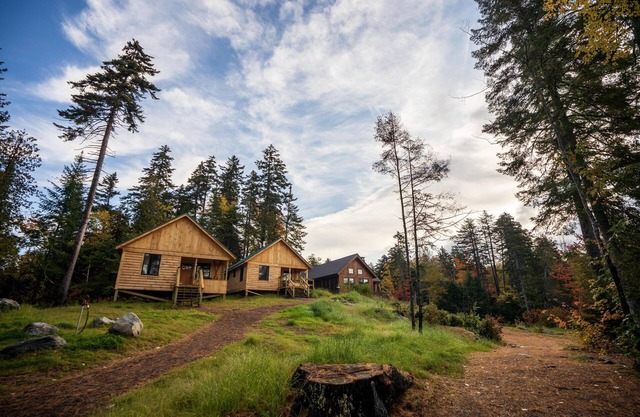 Cabin, Queen Bed, Double Bed, Private Bath