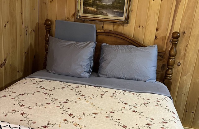 Cabin style near MSU, sparrow, and freeway