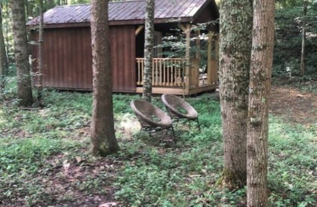 Cabins in a Clearing : Chestnut, Walnut and Beech - check all 3 cabins