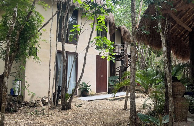 Cabins in the middle of the Mayan jungle in Tulum with cenote type pool