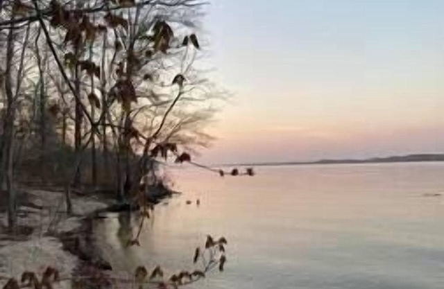 Camper/RV to Relax - camping