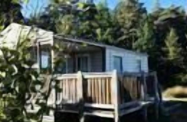 Camping Flower Les Terrasses de Dordogne *** - Mobile Home Oak Comfort 3 Rooms 5 People