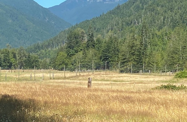 Camping cabin in gorgeous Dosewallips Valley with AC and WiFi