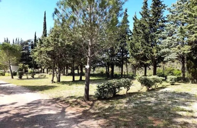 Camping Le Pinada * - Mobil Home TULIPE - 2 bedrooms - 28 m2 4 people