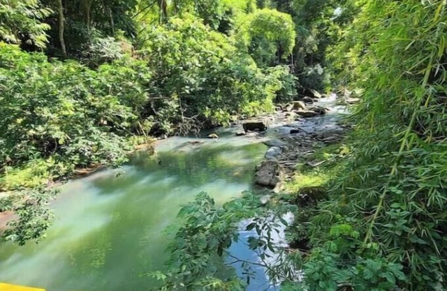 Camping Tent for 2 people: Hacienda Monte Reynn