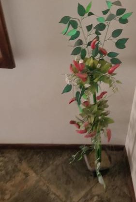 Cantinho do Aconchego