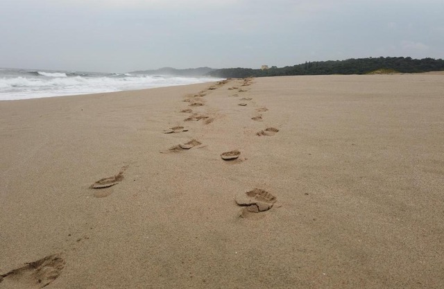 Caribbean Estates: Barbados No. 12