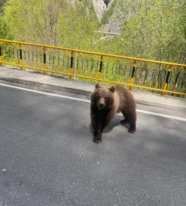 Casa Șapte din Șapte