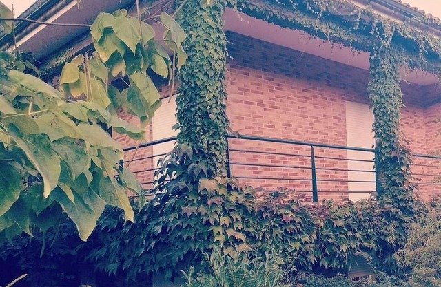 🌿 Casa com Raízes e História. É Casa com Alma. É Refúgio Para Quem nos Visita