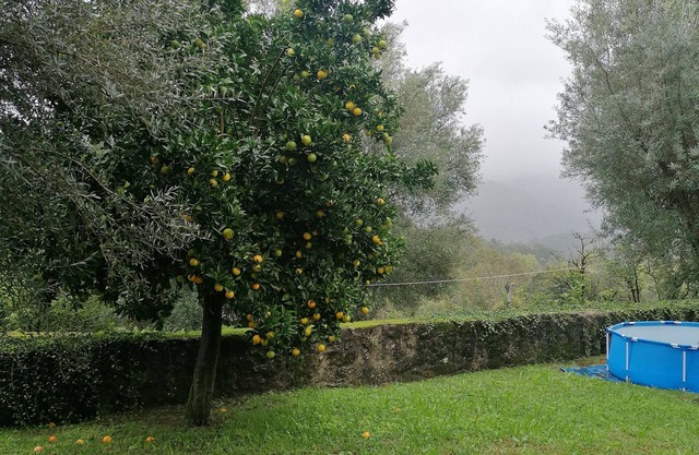 CASA DA ADEGA nInserida em pequena aldeia pacata em terras de Bouro, GERÊS