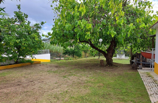 Casa da Amoreira - Barragem de Montargil