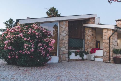 Casa da Ni - Douro