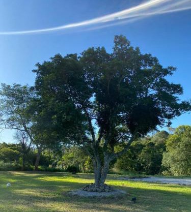 Casa de Campo Sítio Vô Jaime