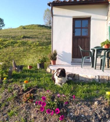 Casa El Collau I