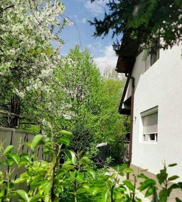 Casa File de Poveste