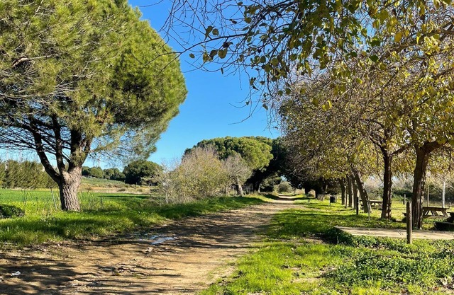 Casa La Peña (Pet friendly) 1 min drive from the beach!