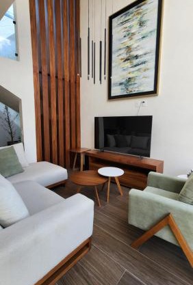 Casa Olivo, Sala a doble altura