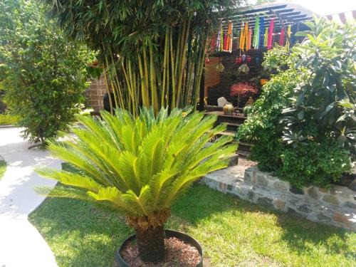 Casa orquídea