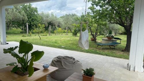 Casa RiVa - Among olive trees and the Tuscan coast