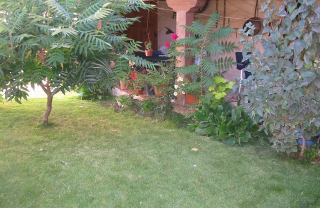 Casa Rural Arturo I