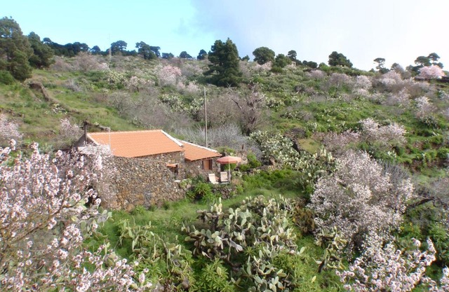 Casa rural La Jarita
