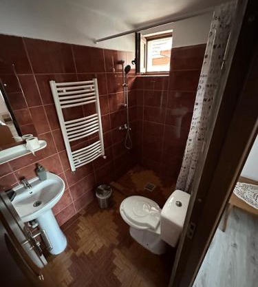 Casa Tradițională Cârtisoara