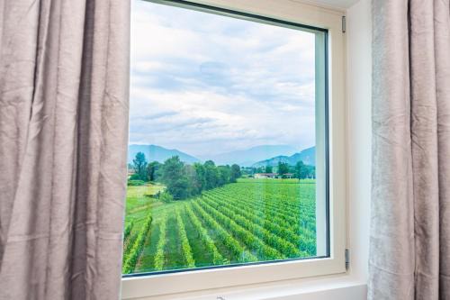 Casa Vacanza Dany in Franciacorta Vista Vigneti