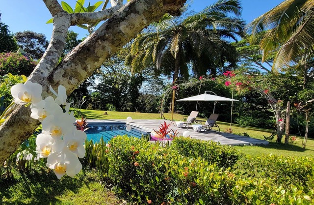 Casa Zenn : Beautiful Hill-top Villa nbooking from 9th-15th March plus 2 cats.