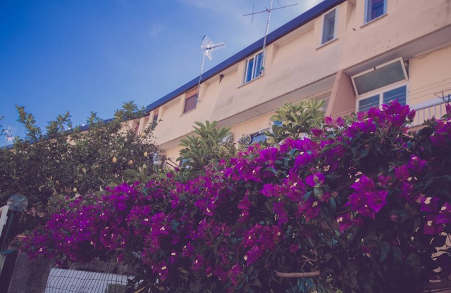 Cassiodoro Rooms Affittacamere