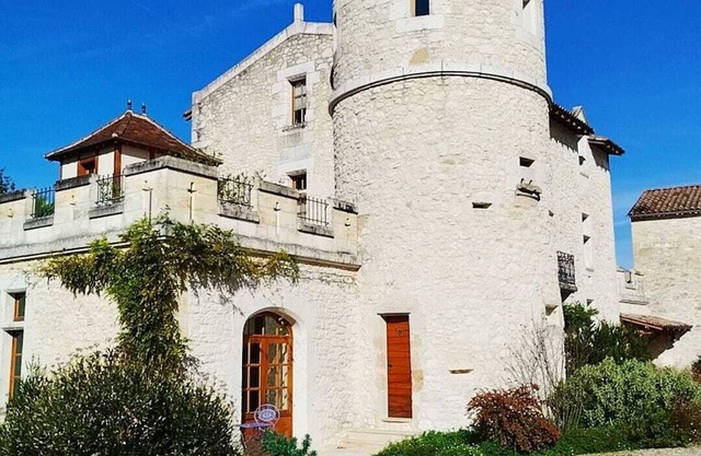Castle with 4 bedrooms and WiFi, AC in welcoming Juillac next to Saint Emilion