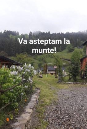 CAZARE Borsec