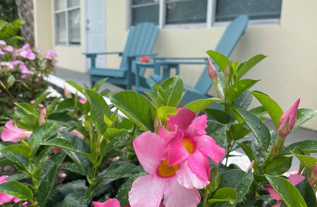 Centrally located, recently renovated, beach-themed delight; 4-min to the beach!