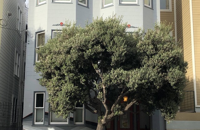 Centrally located: restaurants, shopping, transport, convenience, walking