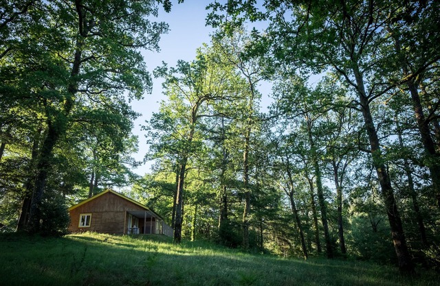 Chalet 48 m² exceptional nature in the heart of Corrèze-Dordogne Valley
