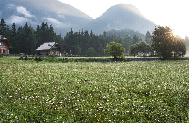 Chalet Alpi Giulie-Il Nido