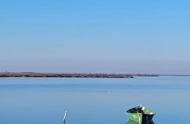 Chalet au Cœur des Vignes et vue sur les Alpilles