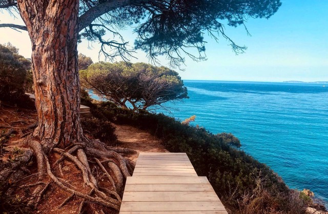 Chalet Avec une vue mer à Couper le Souffle à 5 km de St Tropez