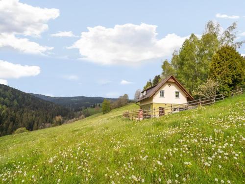 Chalet in Sankt Andrä near Koralpe Ski Area