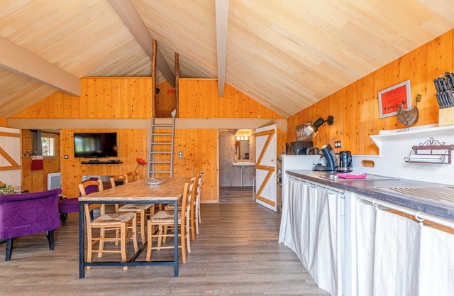 CHALET IN THE VINEYARDS, 5 minutes from Jonzac Antilles