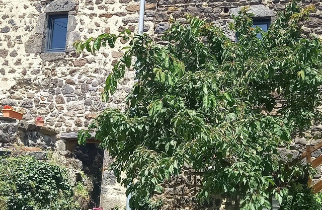 Chambre D'hôte