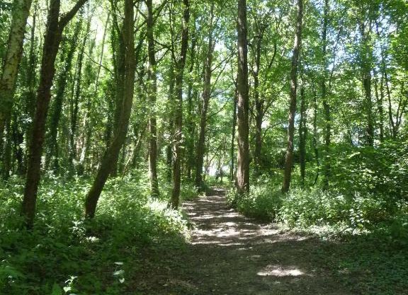 Chambre d'hôte en Vallée du Loir - Elevage des Rosiers