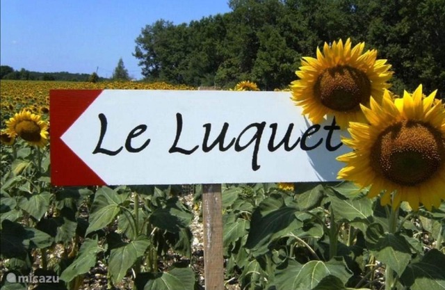chambre dans Maison de Maitre table d 'hotes