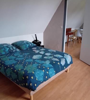 Chambre de la Vigne