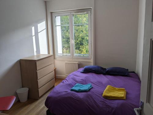 Chambre double confortable, au calme et très proche du centre-ville de Lyon
