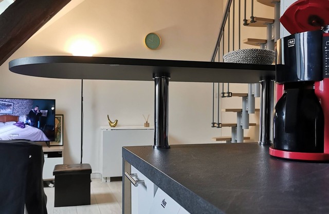 Charmant Duplex /Marais-centre