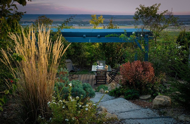 Charme - House view on the vineyard