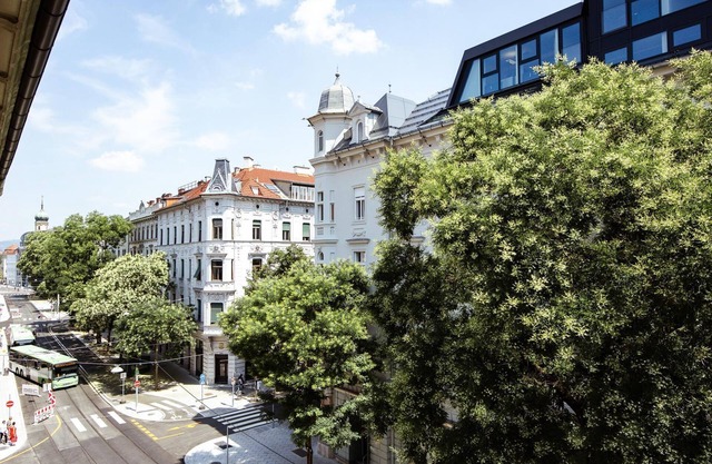 Charming (3.1) - Apartments in the Gösserhaus
