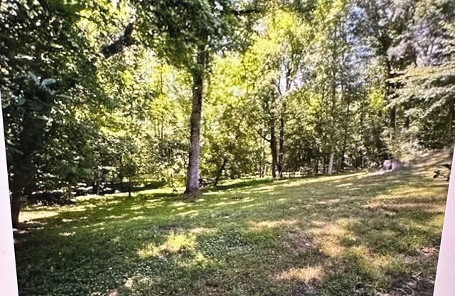 Charming 3-bedroom house in delightful Charlotte near Carmel Road